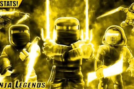 code-ninja-legends-1